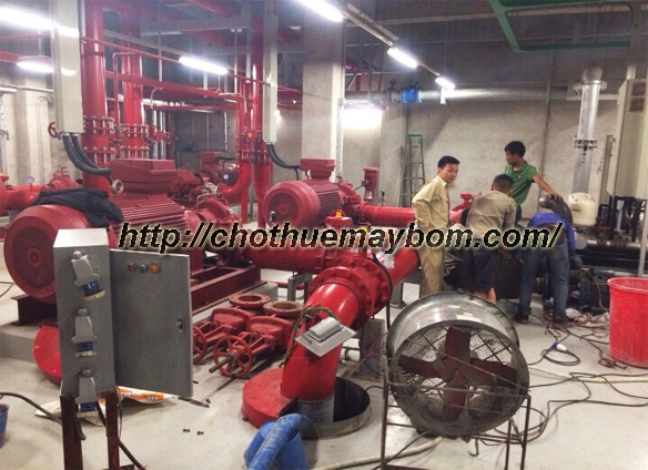                                                 Cho thuê máy bơm nước