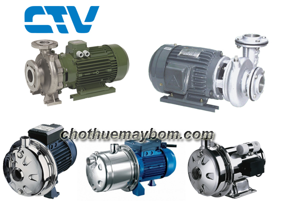                                                 Cho thuê máy bơm đầu Inox