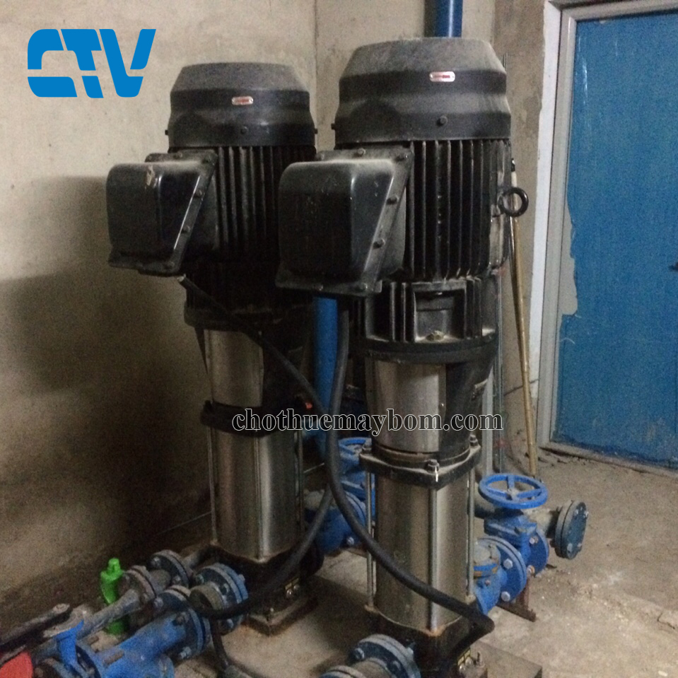 Cho thuê máy bơm trục đứng cho các tòa nhà, hệ thống pccc