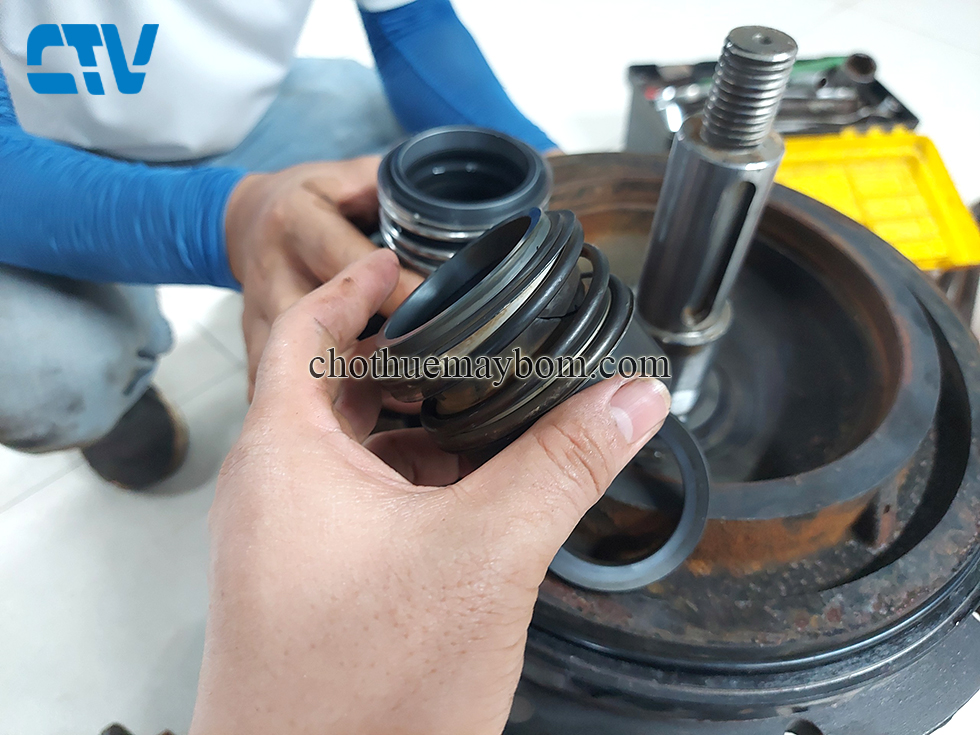 Sửa chữa, thay thế phớt máy bơm nước