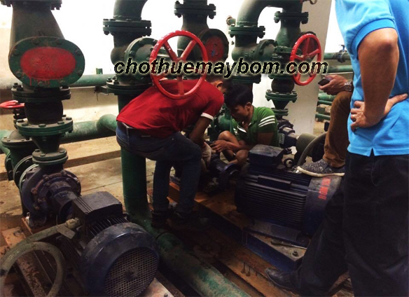 Dịch vụ cho thuê máy bơm chạy điện nhanh chóng, tin cậy tại Miền Bắc