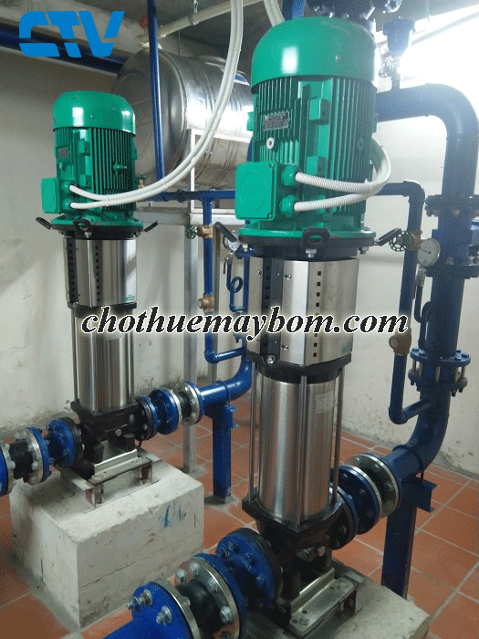 Cường Thịnh Vương Lắp đặt hệ thống máy bơm cấp nước sinh hoạt giá rẻ uy tín khu vực Miền Bắc