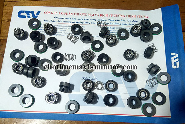 Phớt máy bơm Model HQM2-12
