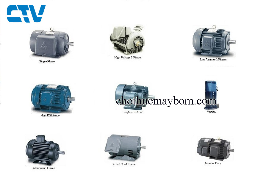 Động cơ máy bơm Teco