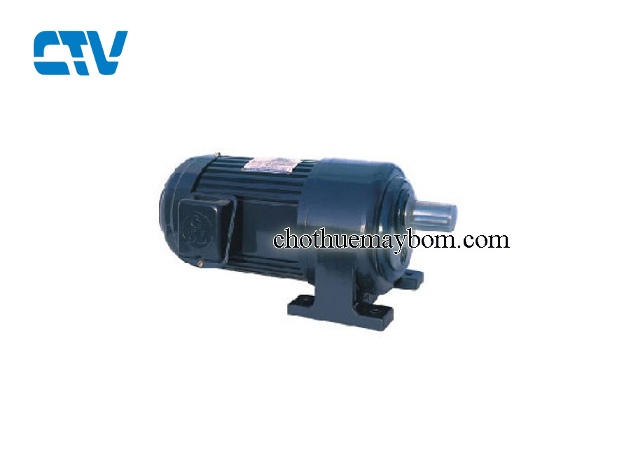 Động cơ máy bơm chân đế Dolin