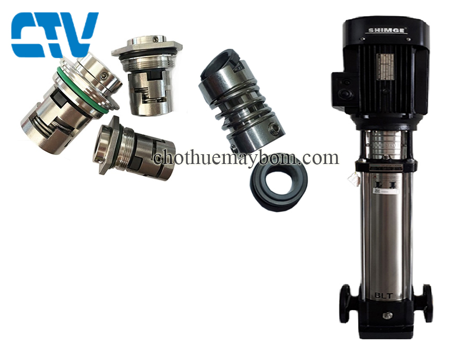 Phớt trục đứng, phớt máy bơm công nghiệp Shimge BLT 8 - 11
