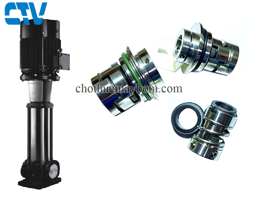 Phớt trục đứng, phớt máy bơm công nghiệp model Paragon PV32-60