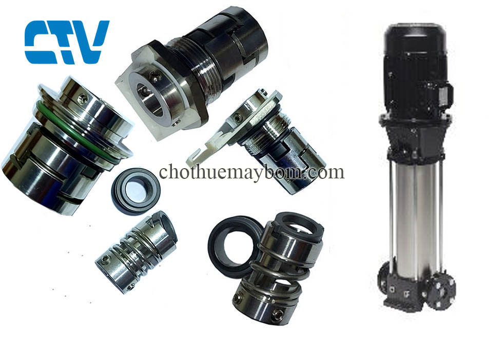 Phớt máy bơm trục đứng Saer 5,5kw (Phốt bơm)