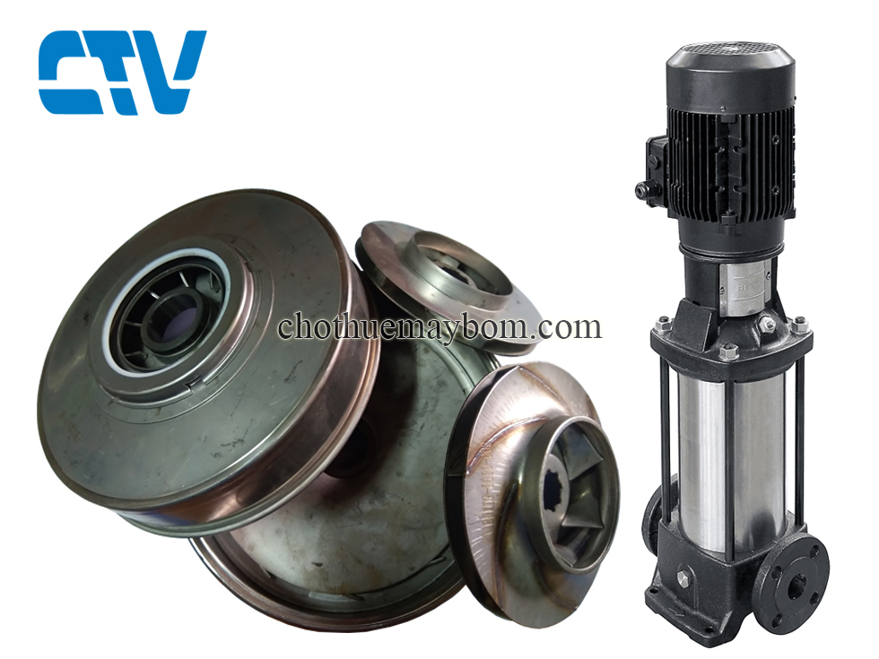 Ruột bơm ly tâm trục đứng Ebara EVMSG20 12F5